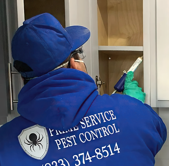 Pest Control Worker